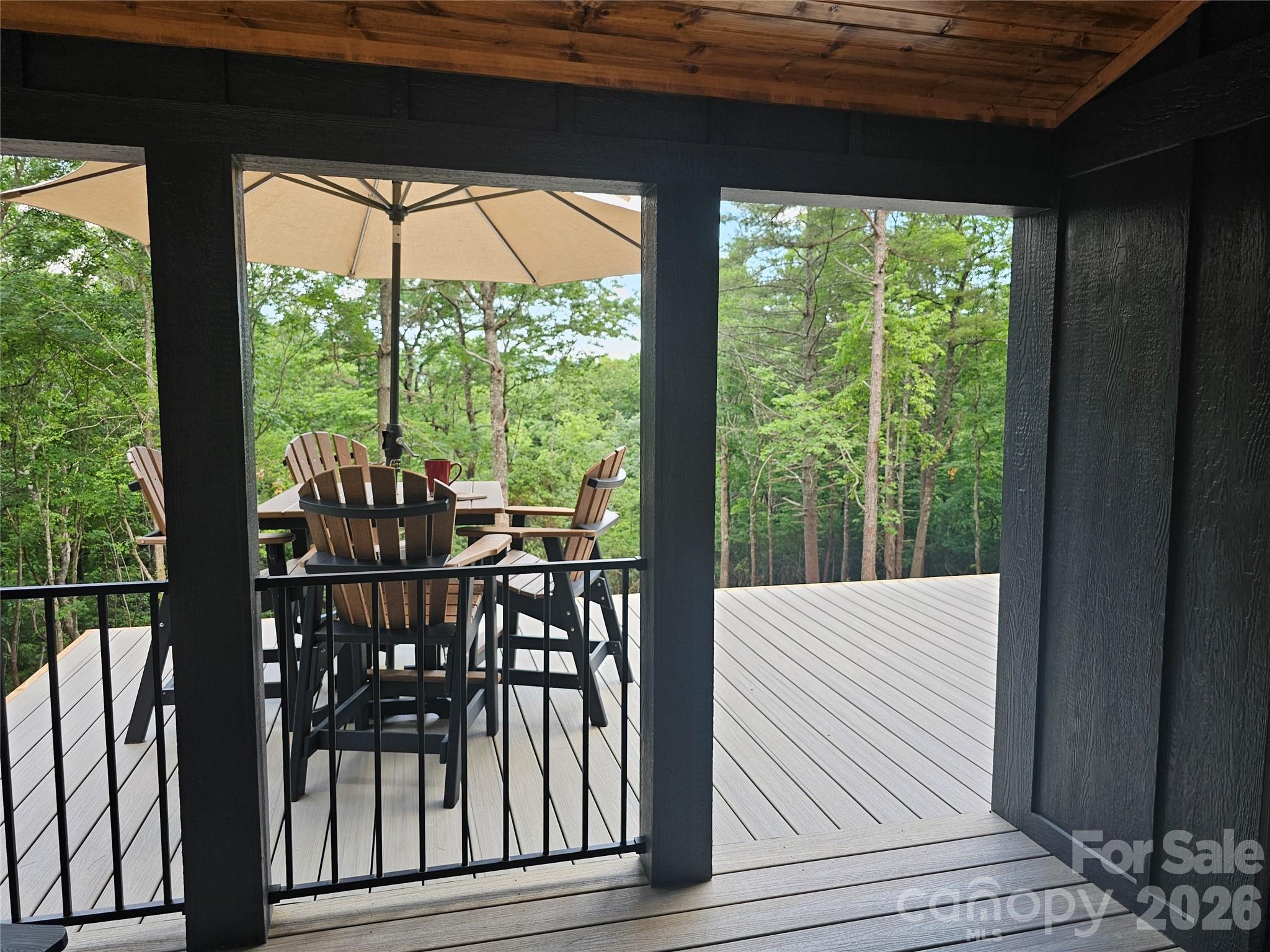 171 Duff Cv Road Brevard, NC 28712 - Photo 8 of 32