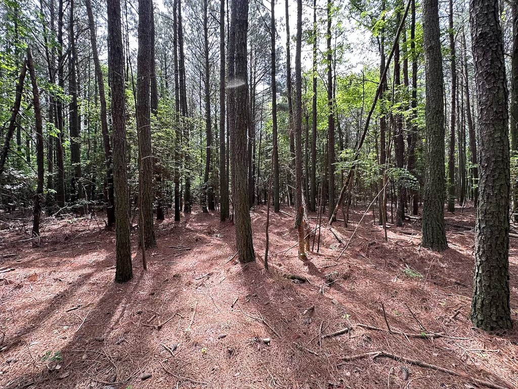 1.75-ac 1.75-ac Kegotank Road, Unit 2 Bloxom, VA 23308 - Photo 11 of 18