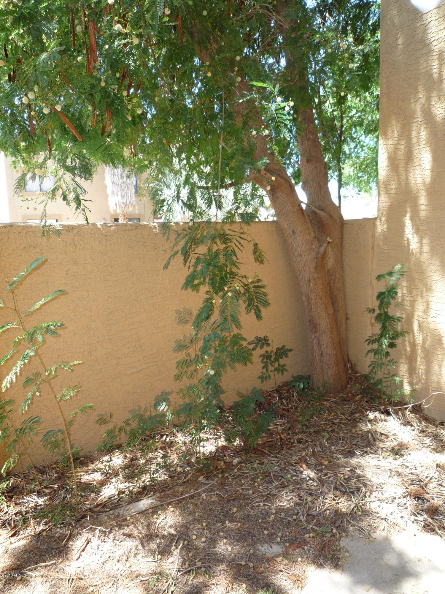 2031 West Bloomfield Road, Unit 5 Phoenix, AZ 85029 - Photo 13 of 18 2
