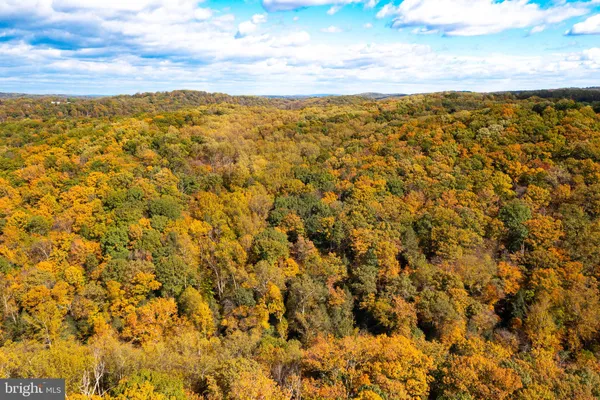 a view of a bunch of trees