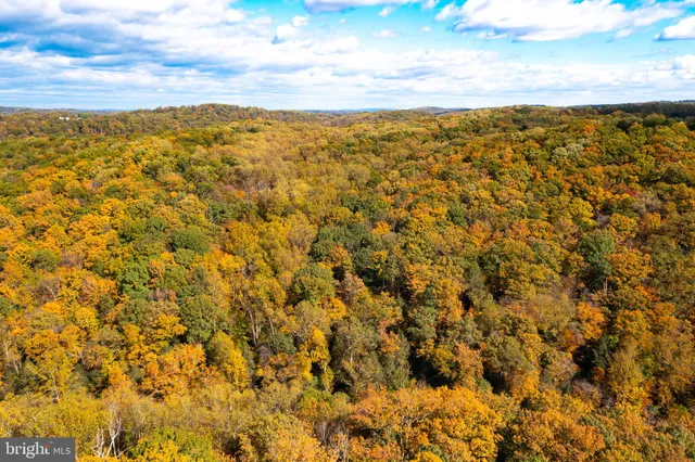 a view of a bunch of trees