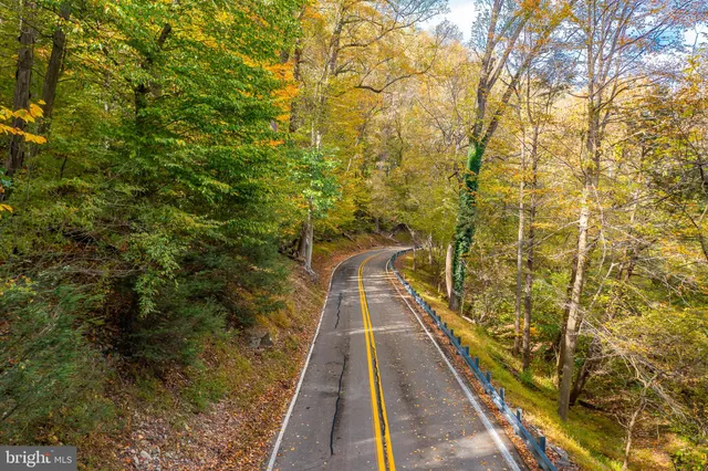 a view of a large yard with large trees