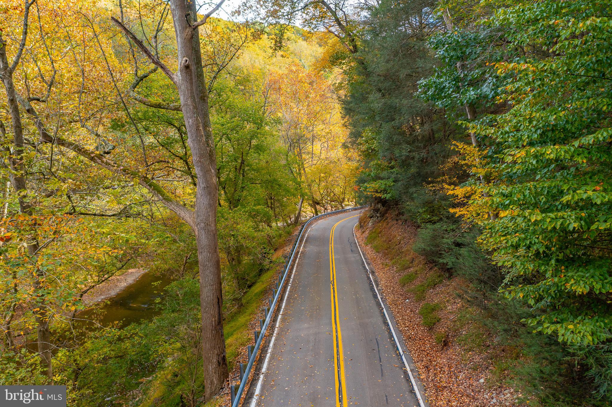 0 Pequea Boulevard Pequea, PA 17565 - Photo 13 of 16 a view of a large yard with large trees