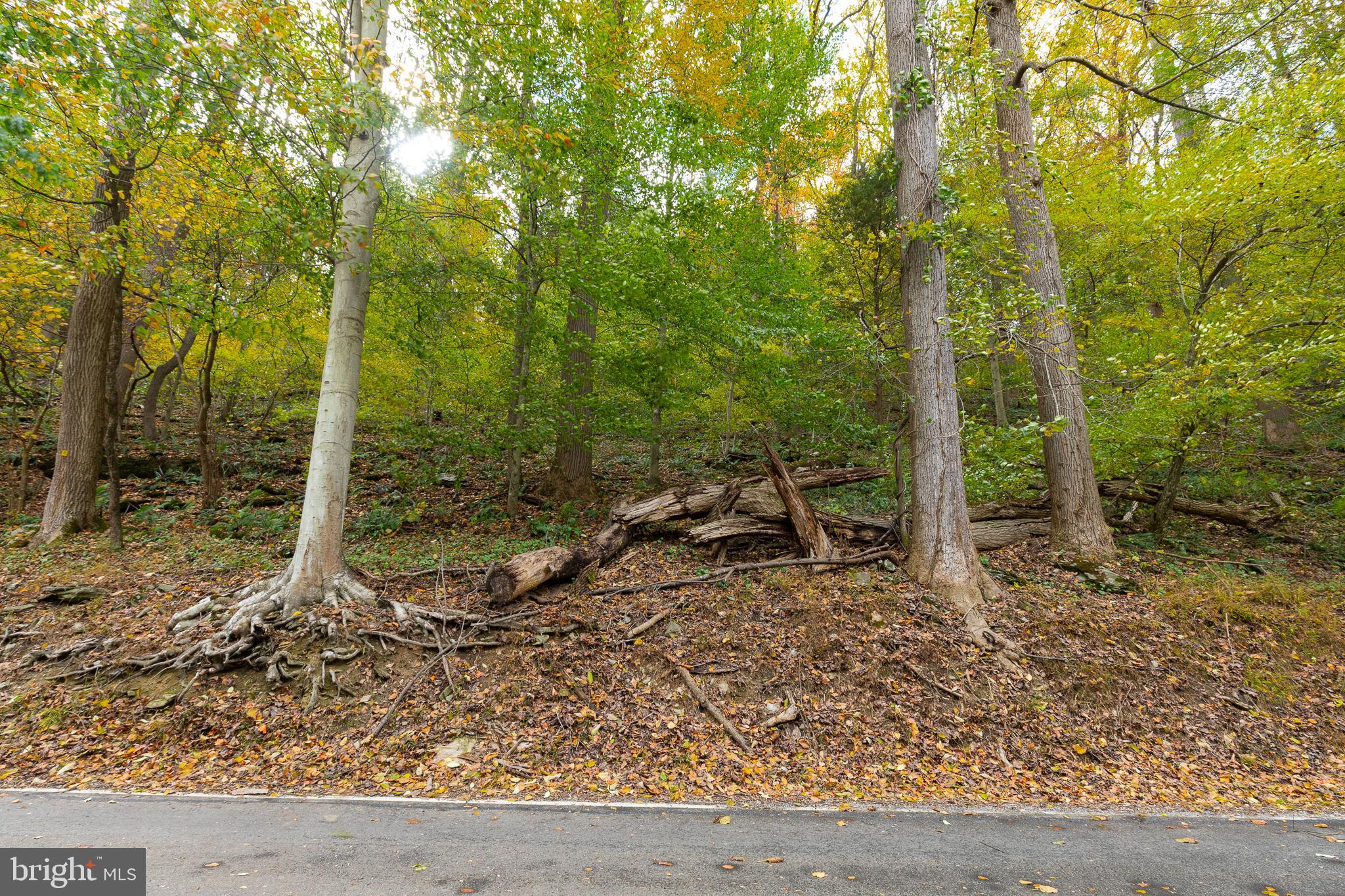 0 Pequea Boulevard Pequea, PA 17565 - Photo 15 of 16 a view of a forest filled with trees