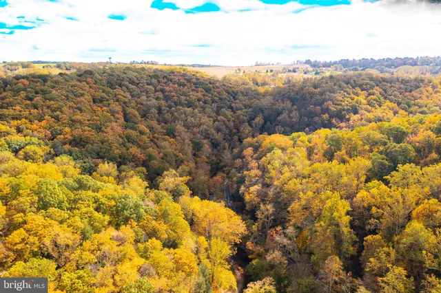a view of lake and mountain