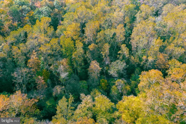 a view of city and mountain