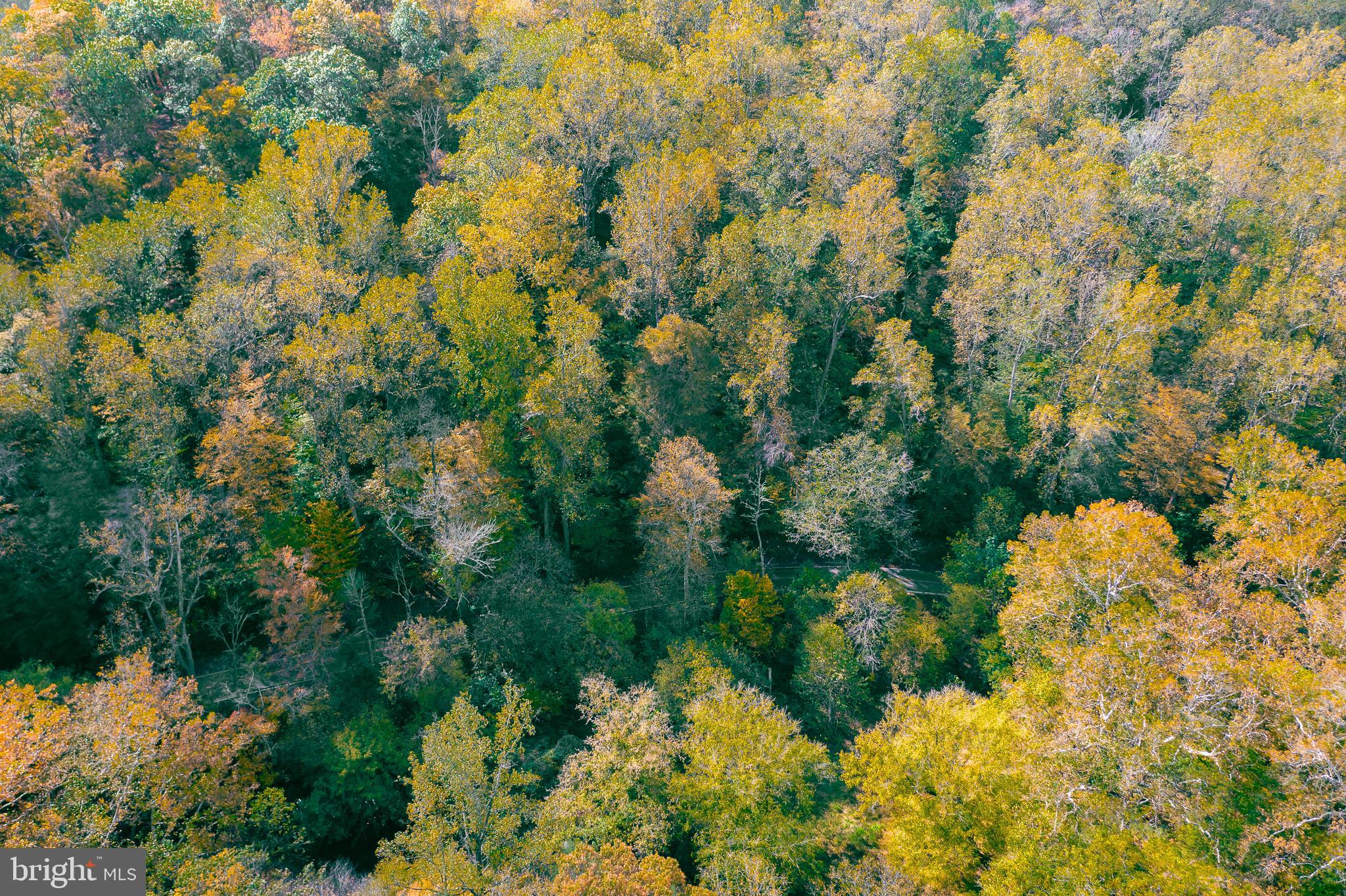 0 Pequea Boulevard Pequea, PA 17565 - Photo 5 of 16 a view of a garden