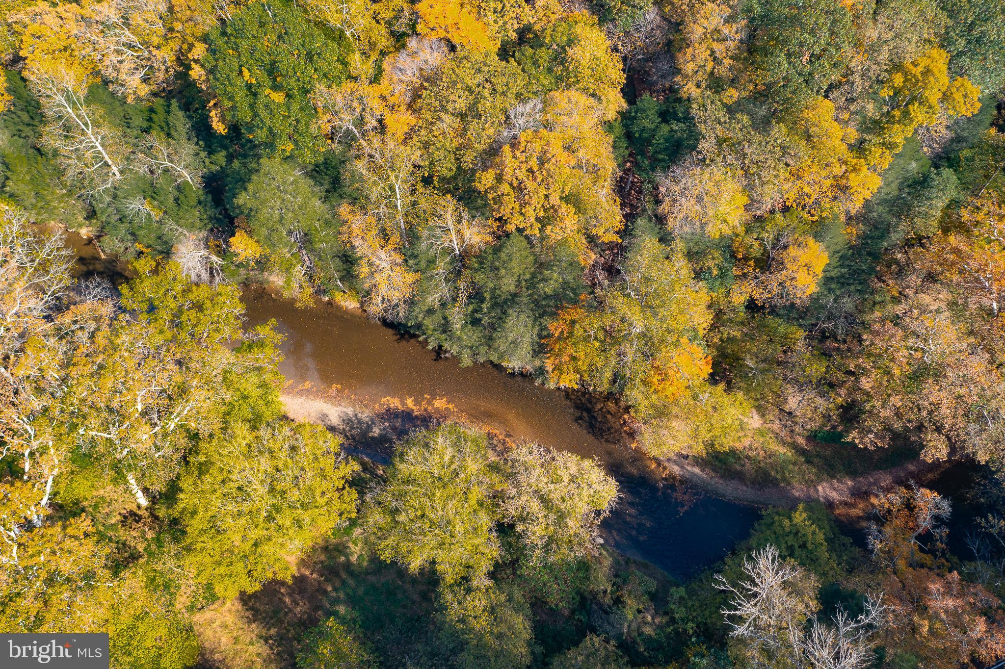 0 Pequea Boulevard Pequea, PA 17565 - Photo 8 of 16 a view of a trees