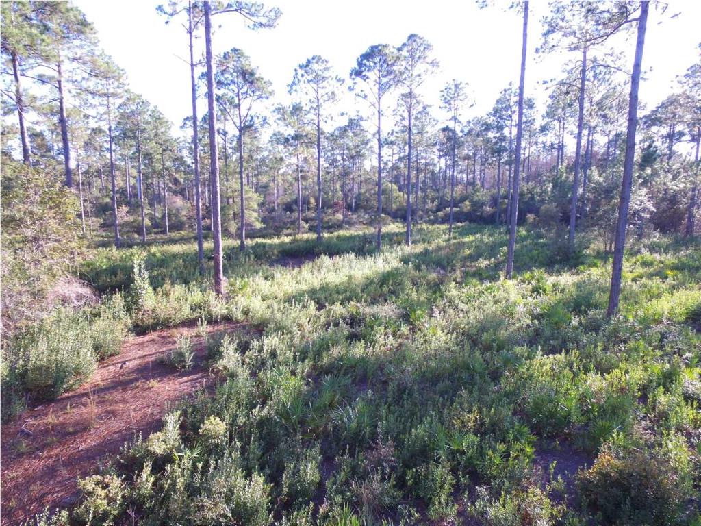 438 Mill Road Carrabelle, FL 32322 - Photo 1 of 8
