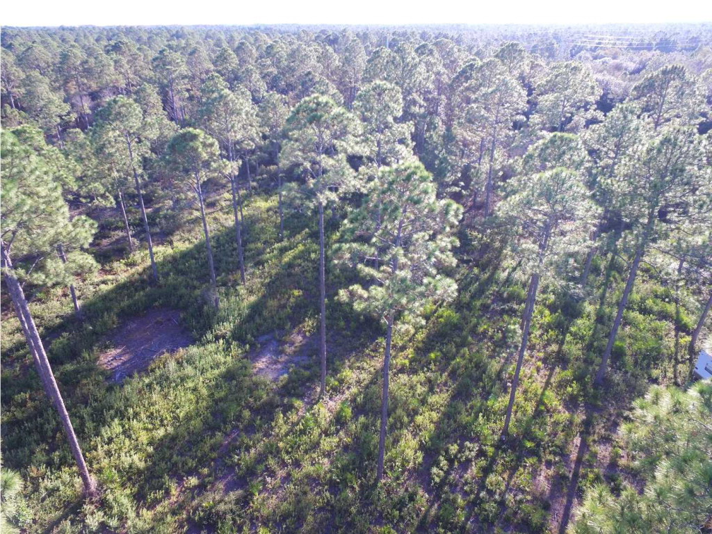 438 Mill Road Carrabelle, FL 32322 - Photo 5 of 8