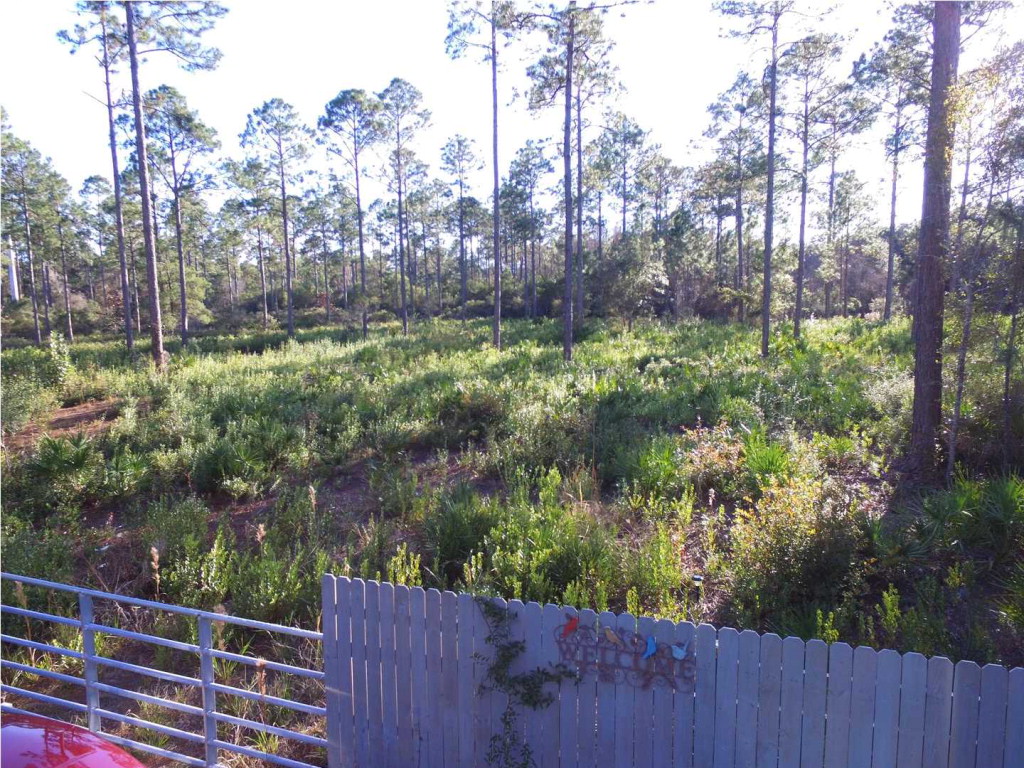 438 Mill Road Carrabelle, FL 32322 - Photo 7 of 8
