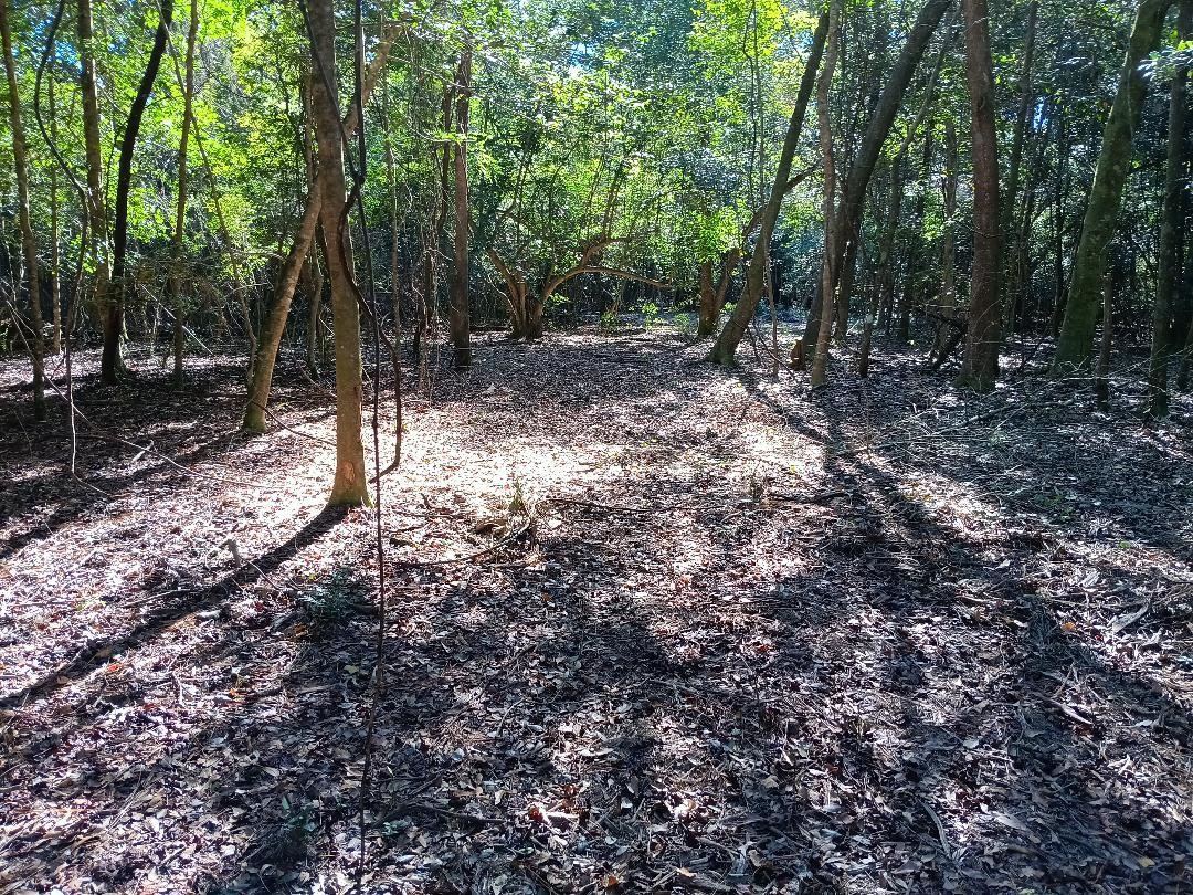 0 Carpenter Lane Bay Minette, AL 36507 - Photo 11 of 14 View