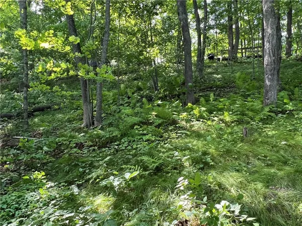 $398,000 | 2977 27 7/8 Street, Birchwood, WI 54817