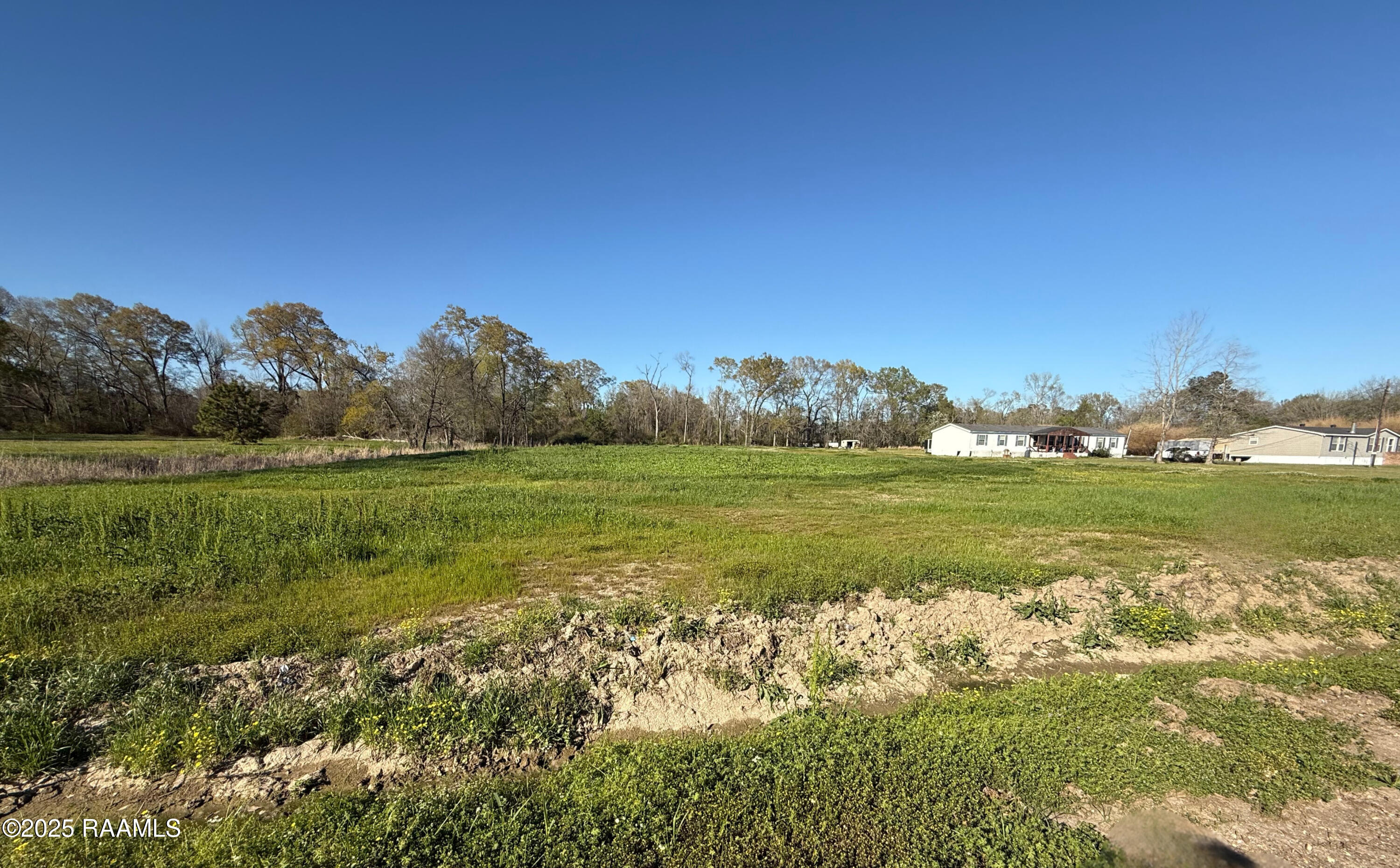 Richard Street Pic 4