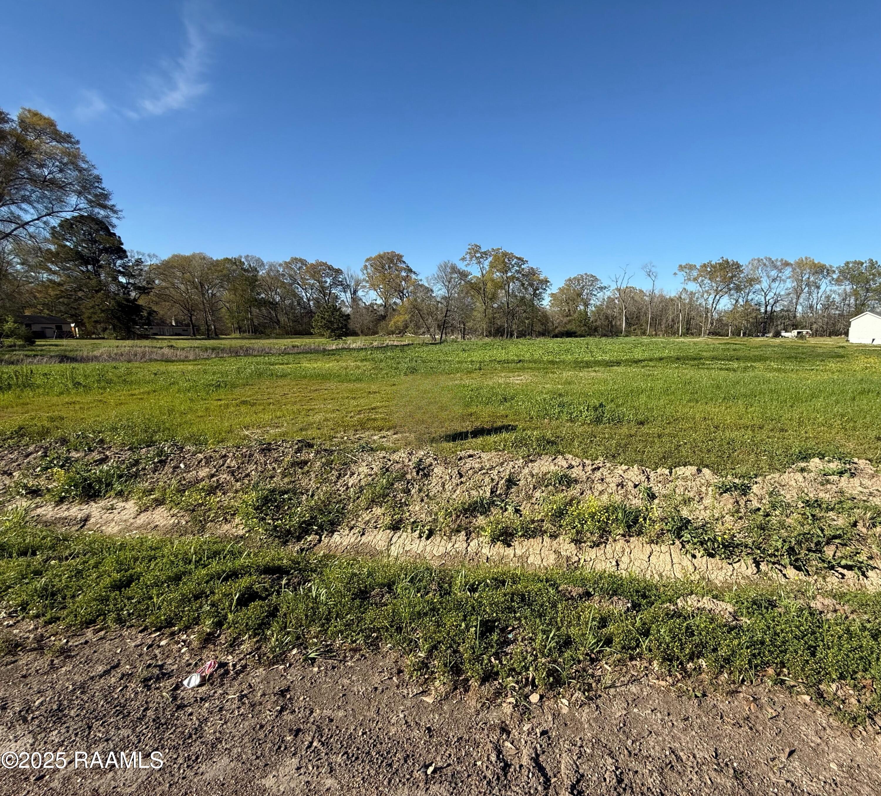 Tbd Richard Street Sunset, LA 70584 - Photo 2 of 5 Richard Street Pic 3