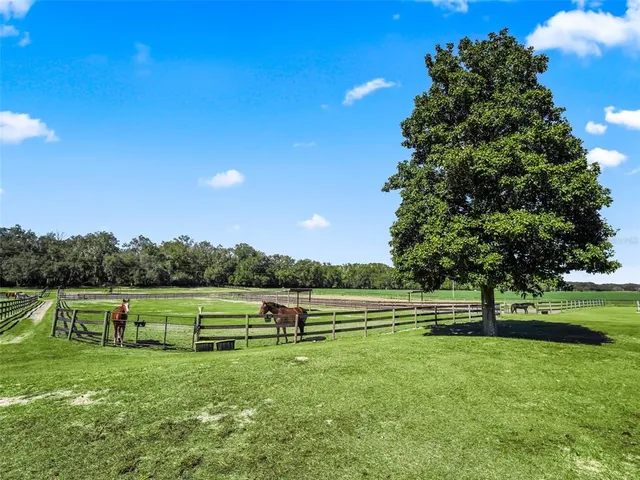 $2,990,000 | 19331 East Levy Street, Williston, FL 32696