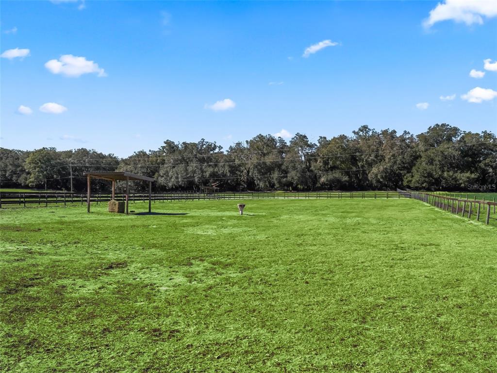19331 East Levy Street Williston, FL 32696 - Photo 74 of 81 a view of a green field with trees in the background