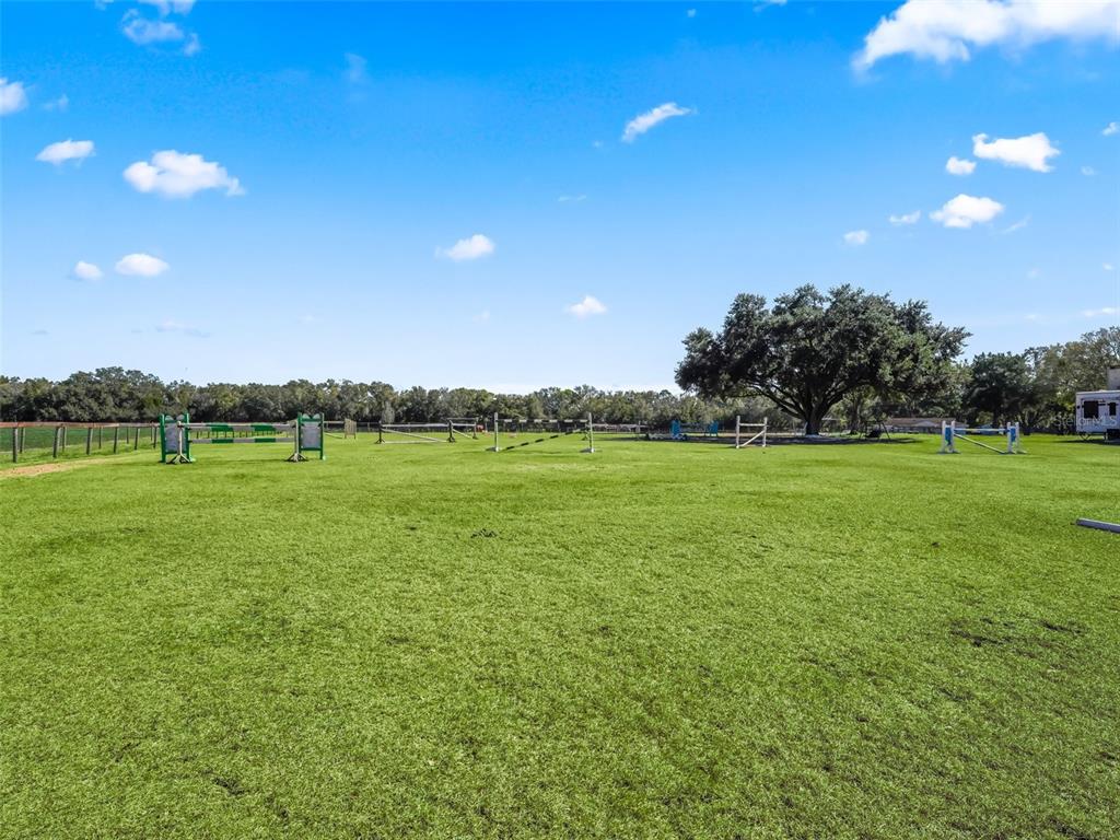 19331 East Levy Street Williston, FL 32696 - Photo 76 of 81 a view of a green field with trees in the background