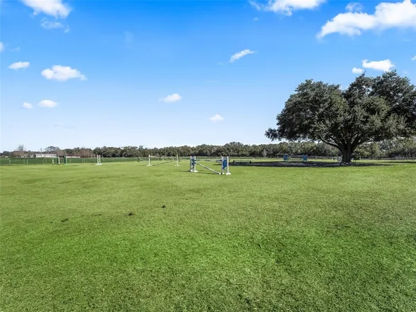$2,990,000 | 19331 East Levy Street, Williston, FL 32696