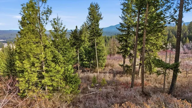 $295,000 | Xxxxx East Day Mt Spokane Road, Unit UNASSIGNED ADDRESS ON DAY MT SPOKANE, Colbert, WA 99005