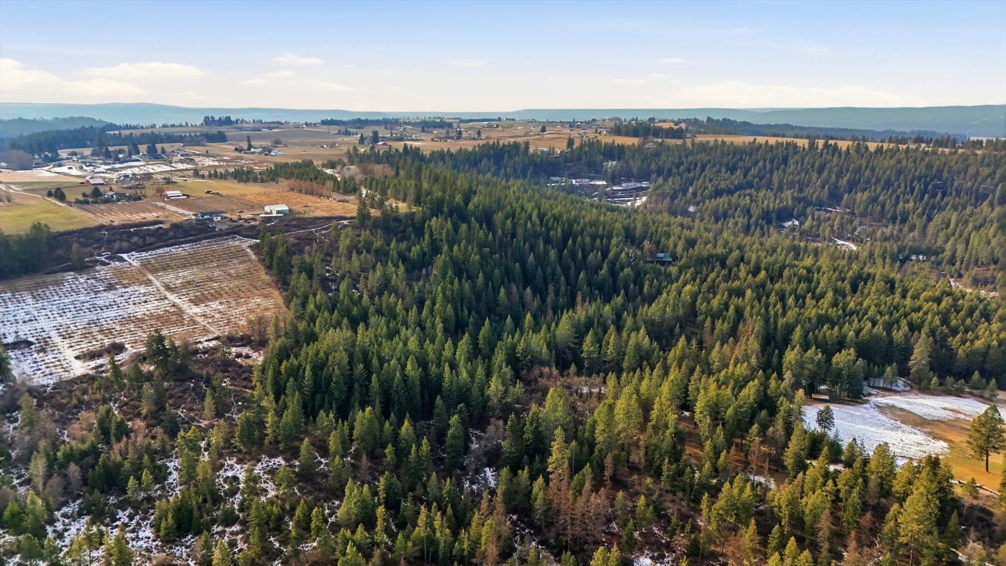 Xxxxx East Day Mt Spokane Road, Unit UNASSIGNED ADDRESS ON DAY MT SPOKANE Colbert, WA 99005 - Photo 4 of 19