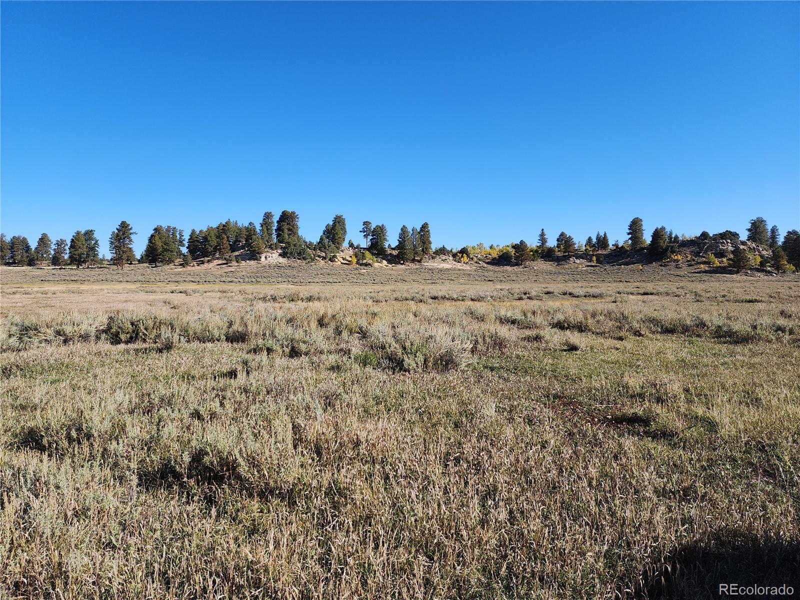 0 Divide (louie Pasture) Road Whitewater, CO 81527 - Photo 6 of 8 a view of an outdoor space and a lake view