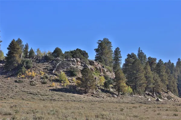 a view of a dry yard with trees in the background