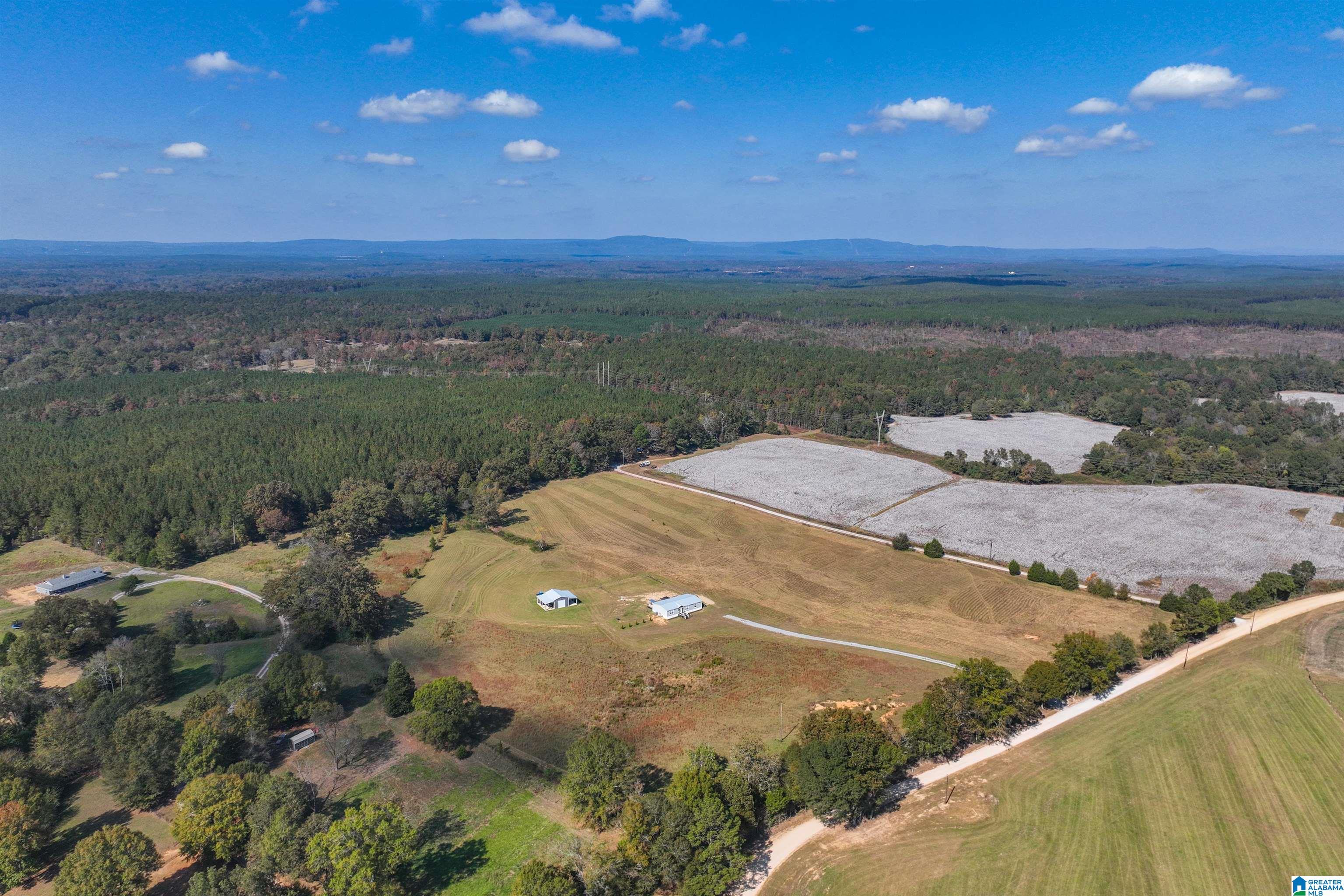 277 Jackson Farm Road Wilsonville, AL 35186 - Photo 63 of 68