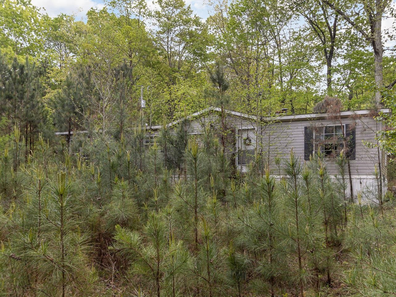 220 Alvis Alston Road Pittsboro, NC 27312 - Photo 18 of 25 Photo 18