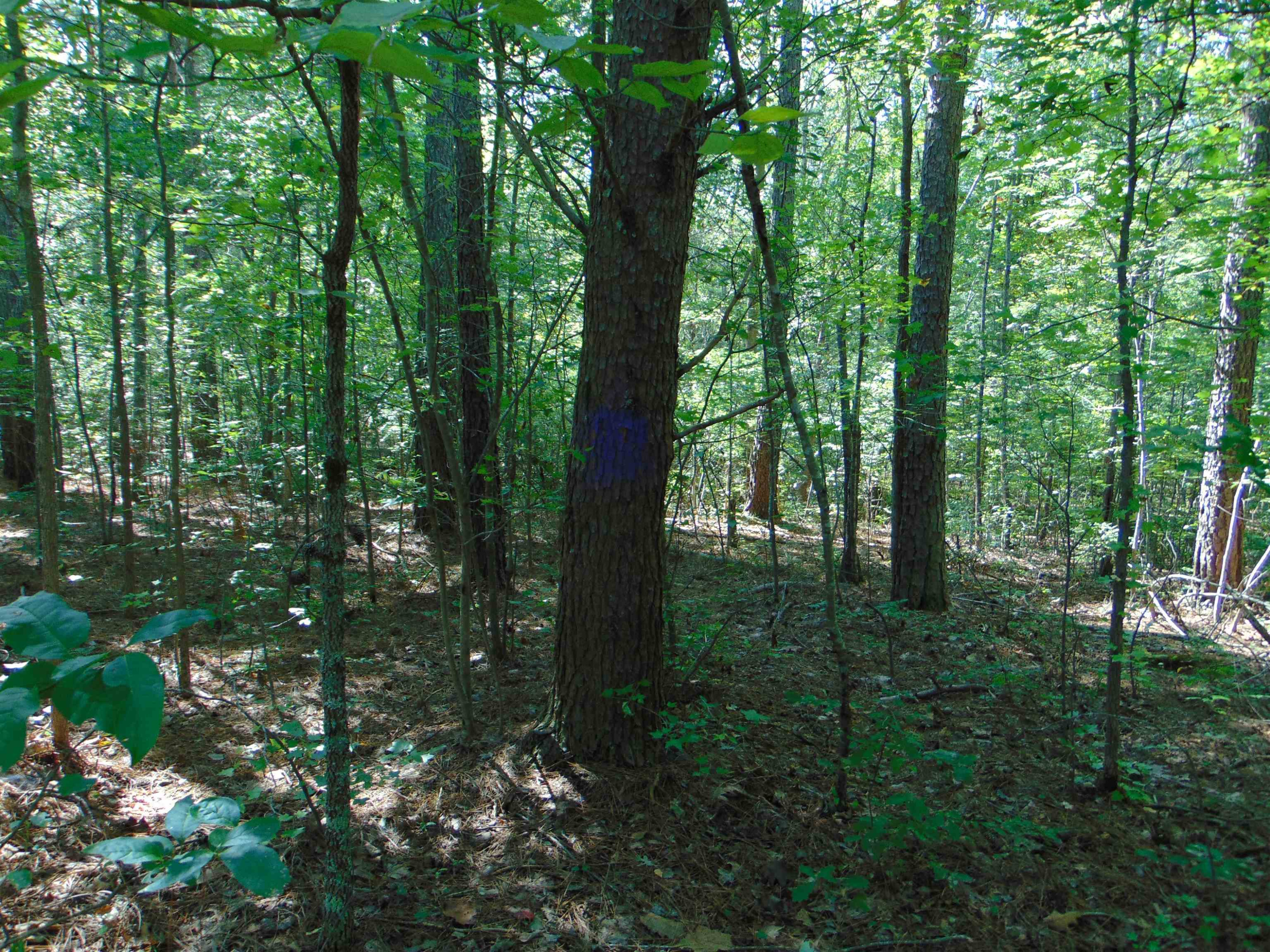 Noel Tuck Road Oxford, NC 27565 - Photo 16 of 34 Photo 16
