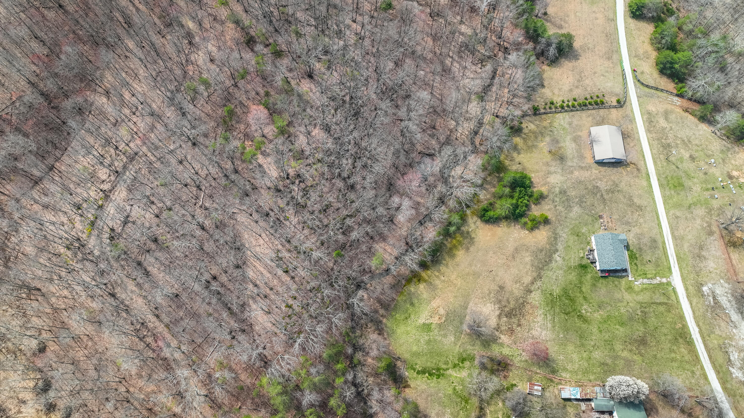 2726 Dreyfus Road Waco, KY 40385 - Photo 28 of 40 Dreyfus Rd-11