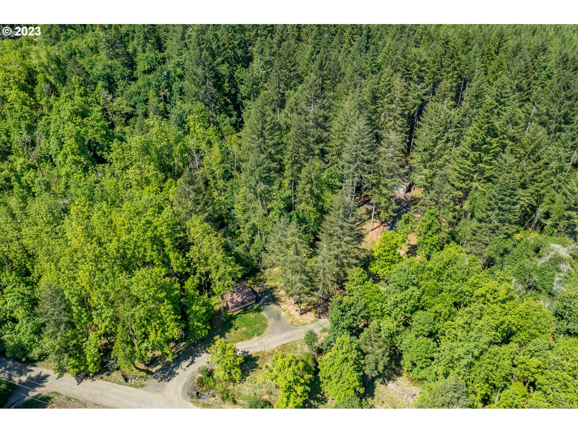 7297 Ash Street Grand Ronde, OR 97347 - Photo 25 of 33 a view of a big yard with plants and large tree