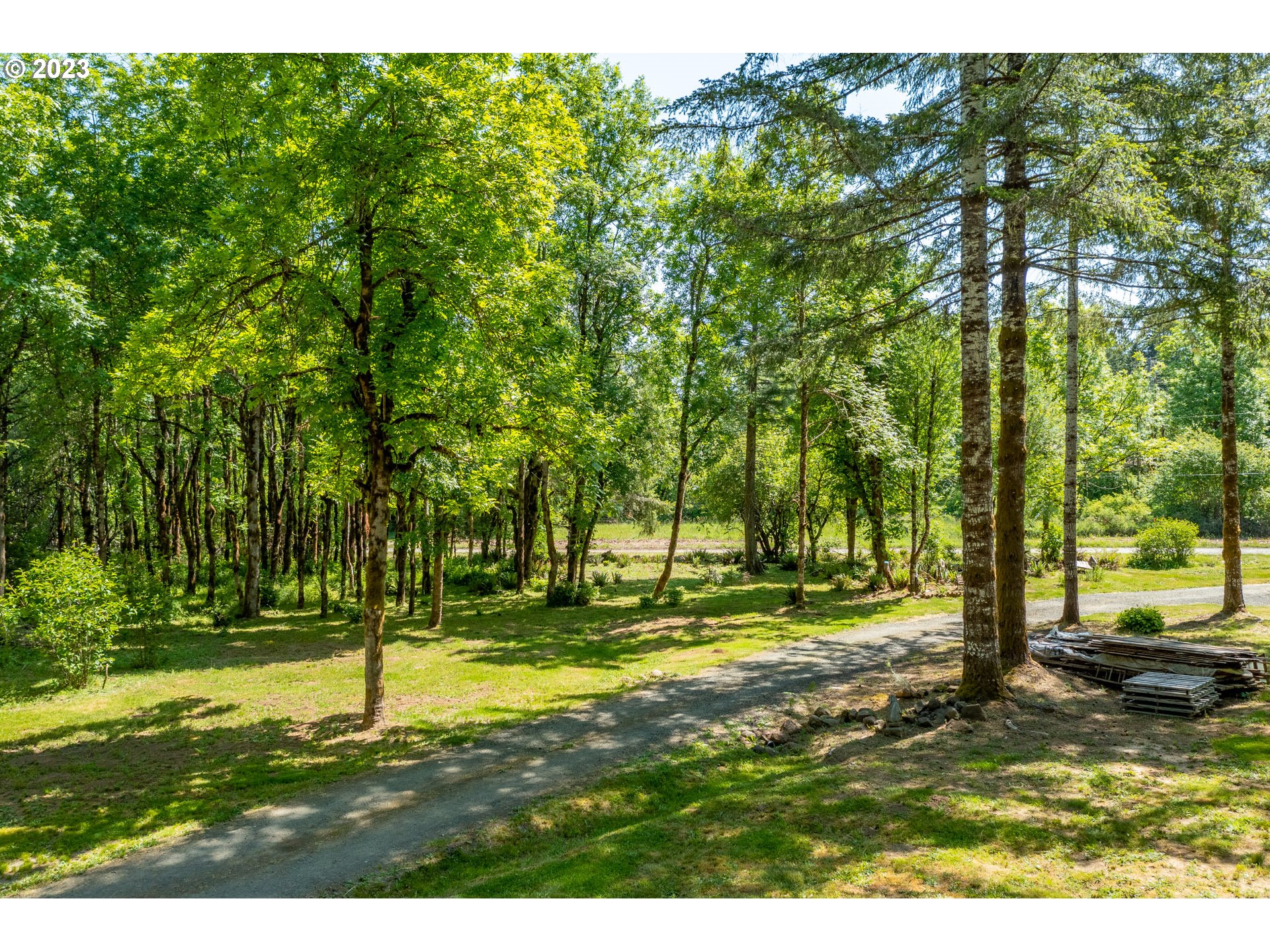 7297 Ash Street Grand Ronde, OR 97347 - Photo 28 of 33 a view of a park with large trees
