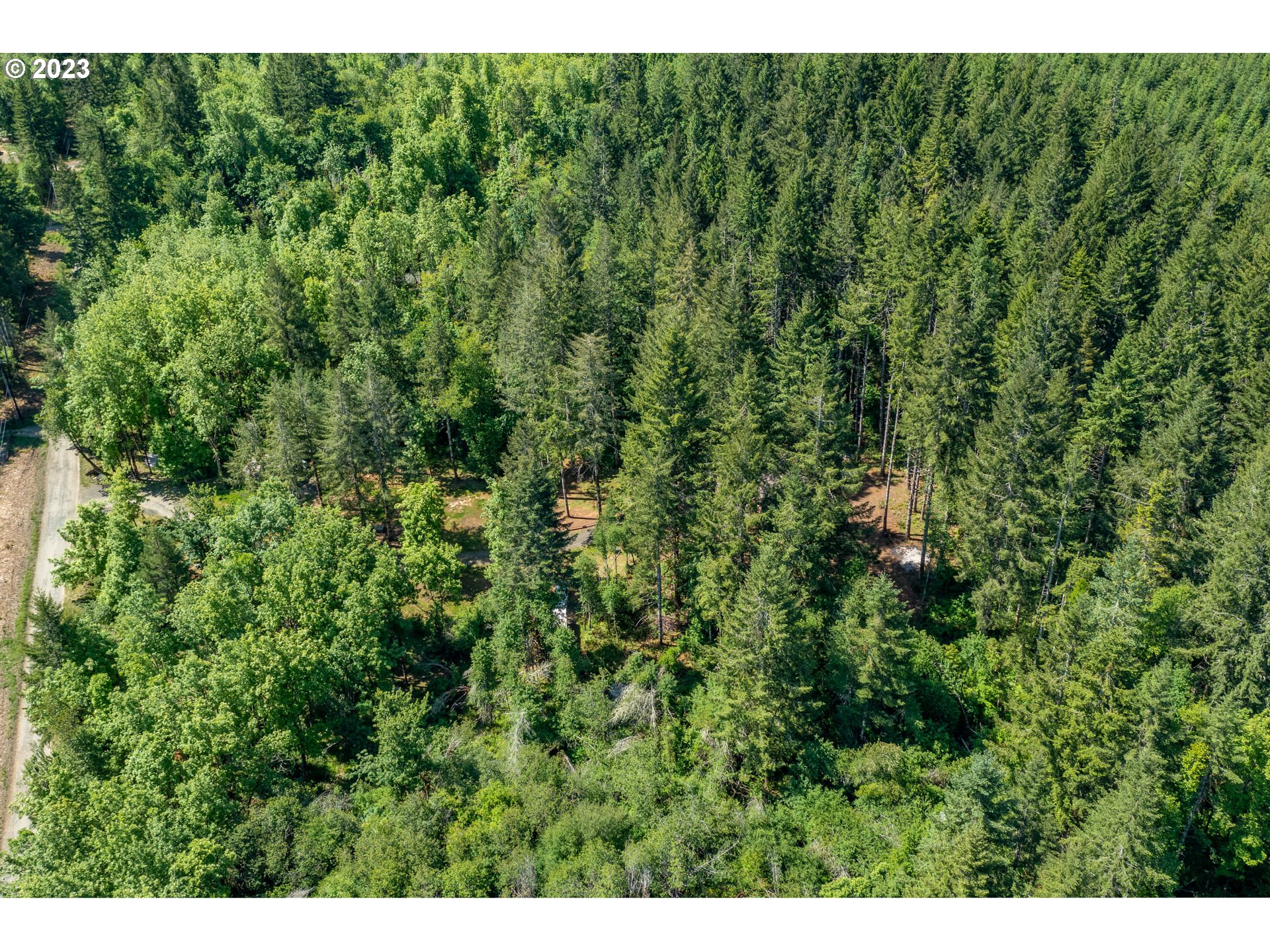 7297 Ash Street Grand Ronde, OR 97347 - Photo 32 of 33 a view of a lush green forest