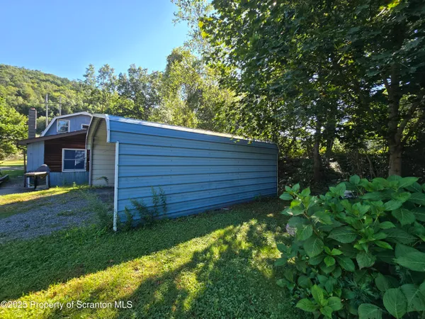 a view of a backyard with potted plants and large tree