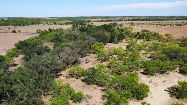 an aerial view of forest