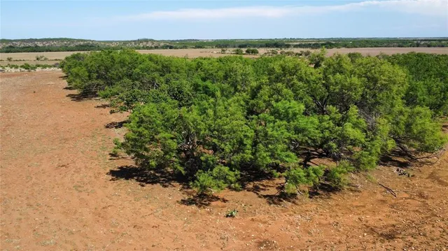a view of dirt yard with a tree