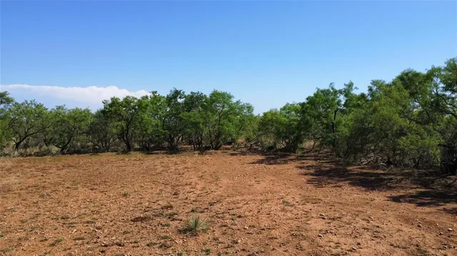 a view of a forest with a lake