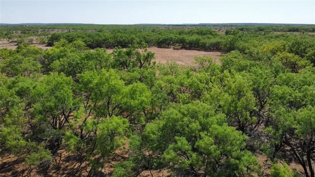 a view of city and ocean