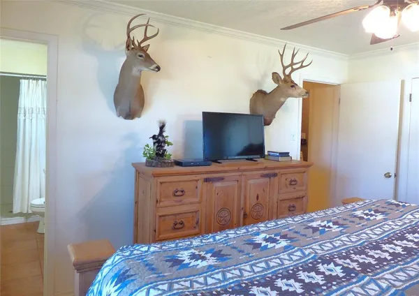 a bedroom with a bed and a dresser