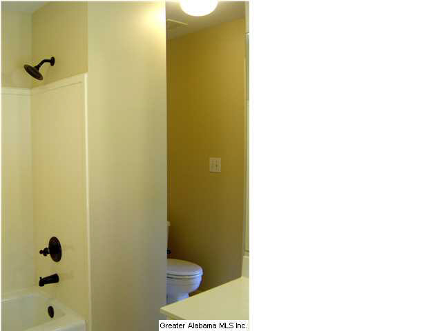 1710 Sandy Ridge Way Hoover, AL 35244 - Photo 24 of 28