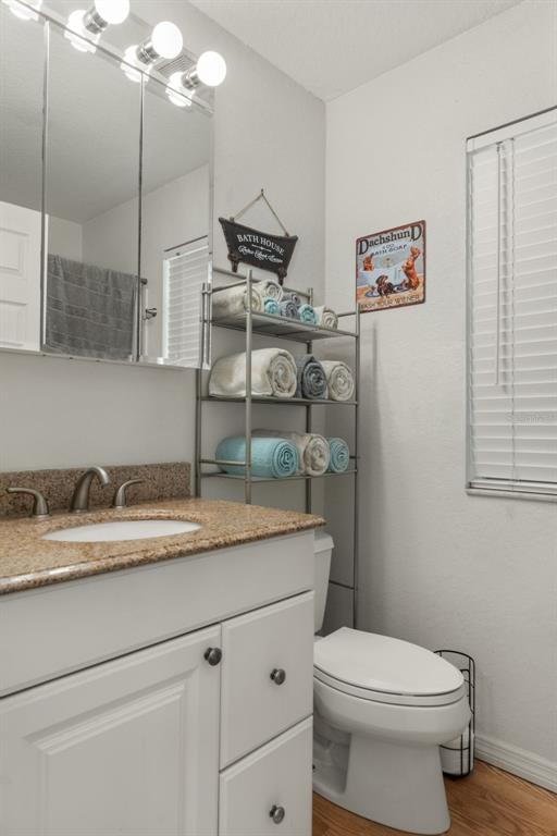 5890 South Mason Creek Road Homosassa, FL 34448 - Photo 20 of 50 a bathroom with a granite countertop toilet sink and mirror