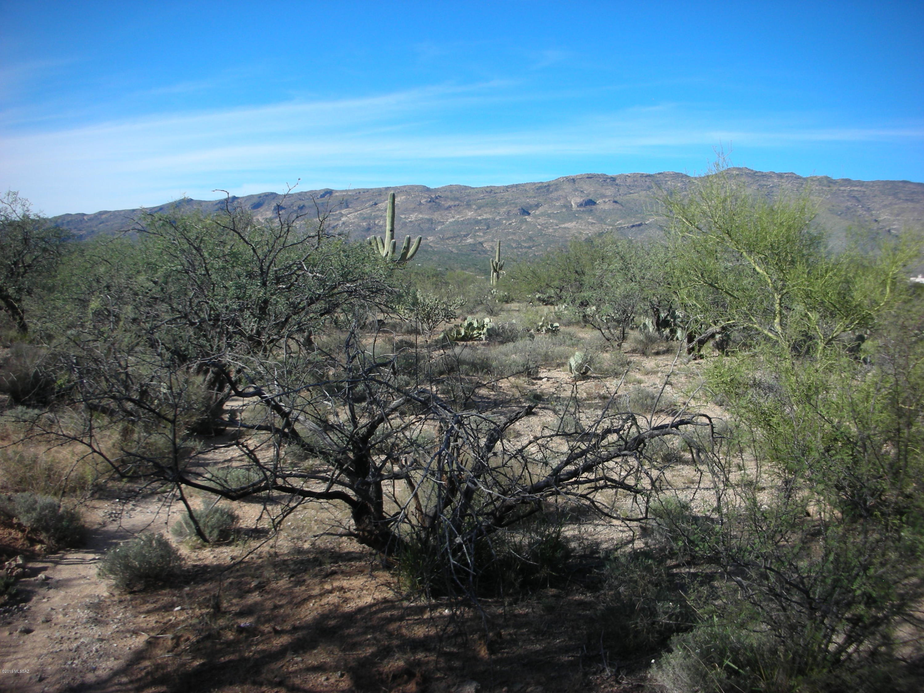 Tbd East Camino Dorotea Road Vail, AZ 85641 - Photo 10 of 24