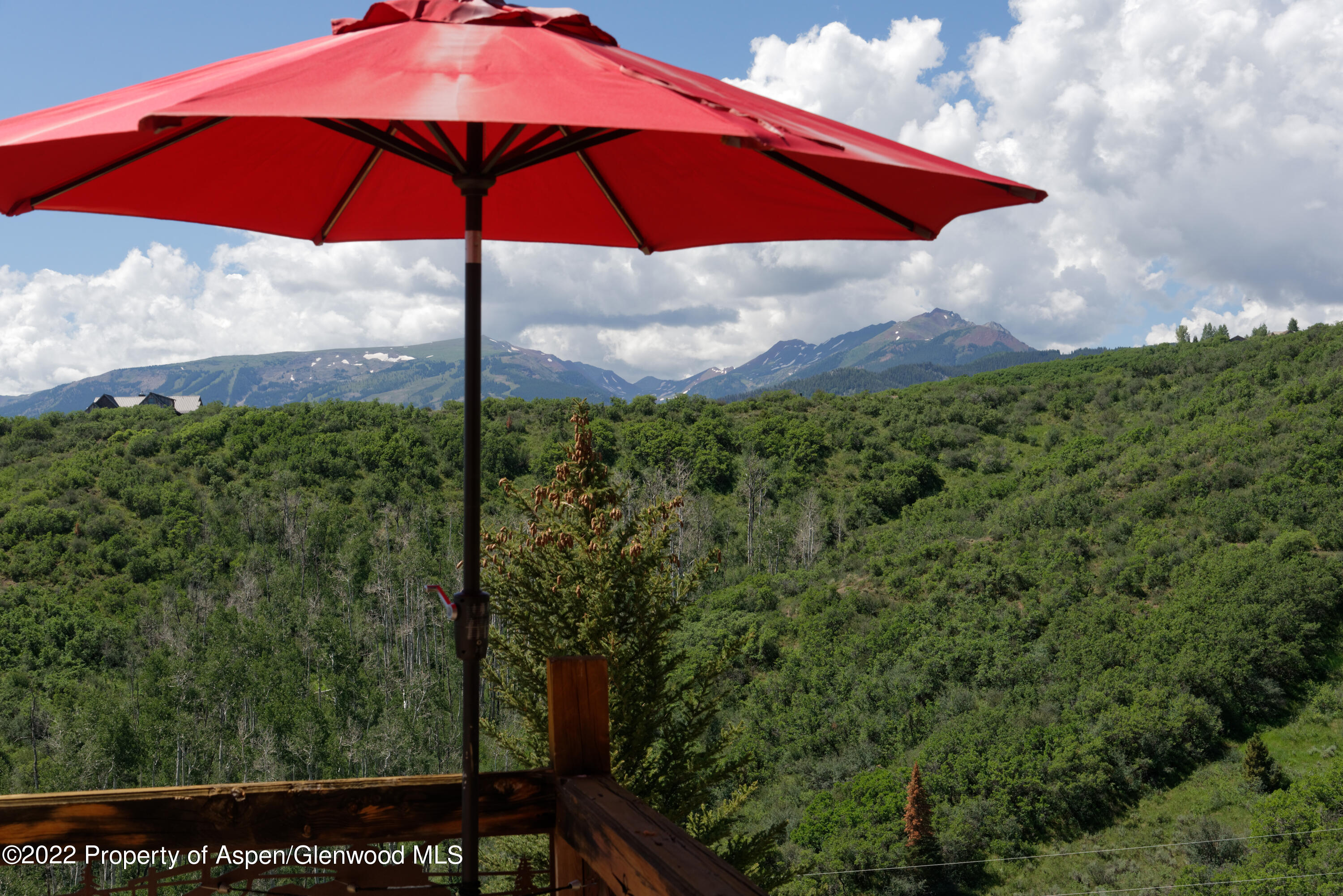 343 Monastery Cutoff Road Snowmass, CO 81654 - Photo 53 of 65 343Monastery_HiRes21070619