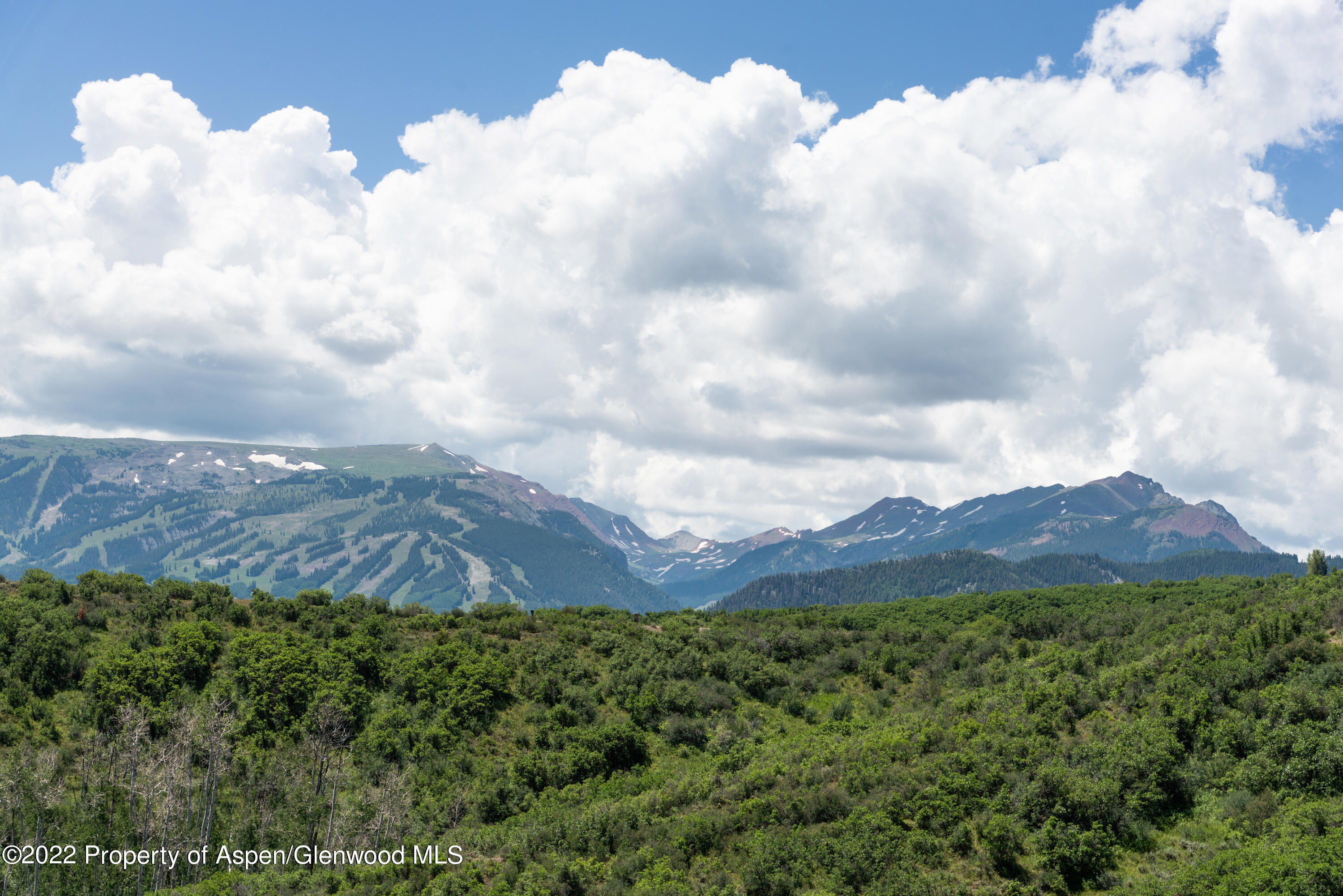 343 Monastery Cutoff Road Snowmass, CO 81654 - Photo 6 of 65 343Monastery_HiRes21070606