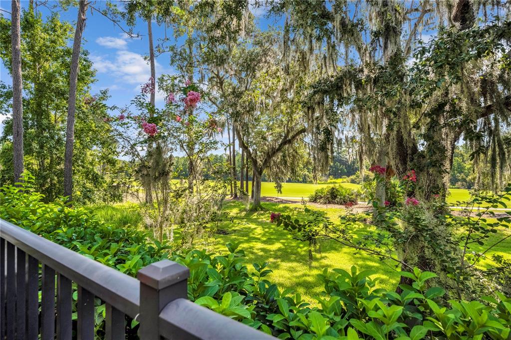 4081 Southern Valley Loop Brooksville, FL 34601 - Photo 44 of 64 a view of a yard with plants