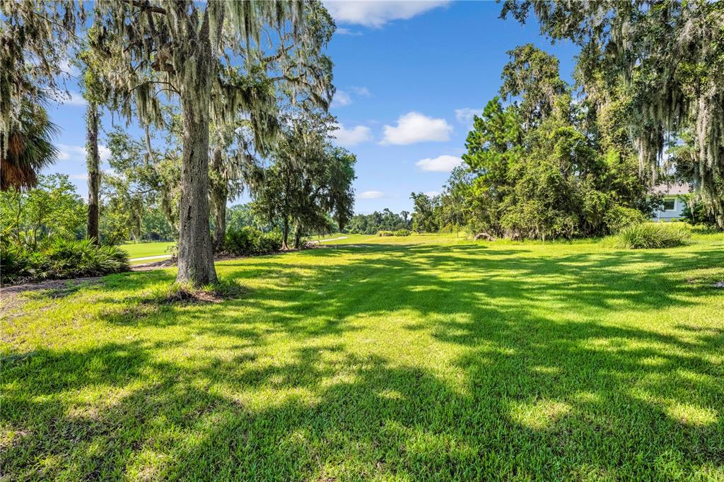4081 Southern Valley Loop Brooksville, FL 34601 - Photo 49 of 64 a view of a grassy field with trees