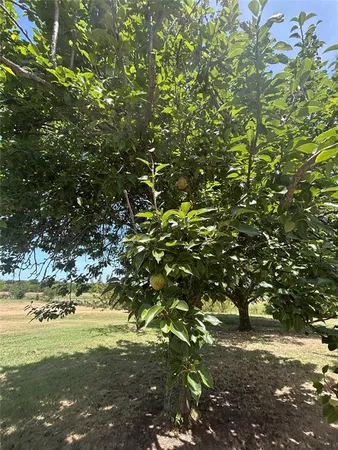 $1,149,000 | 3201 Farm To Market Road 2194, Farmersville, TX 75442