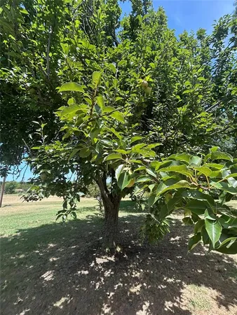 $1,149,000 | 3201 Farm To Market Road 2194, Farmersville, TX 75442