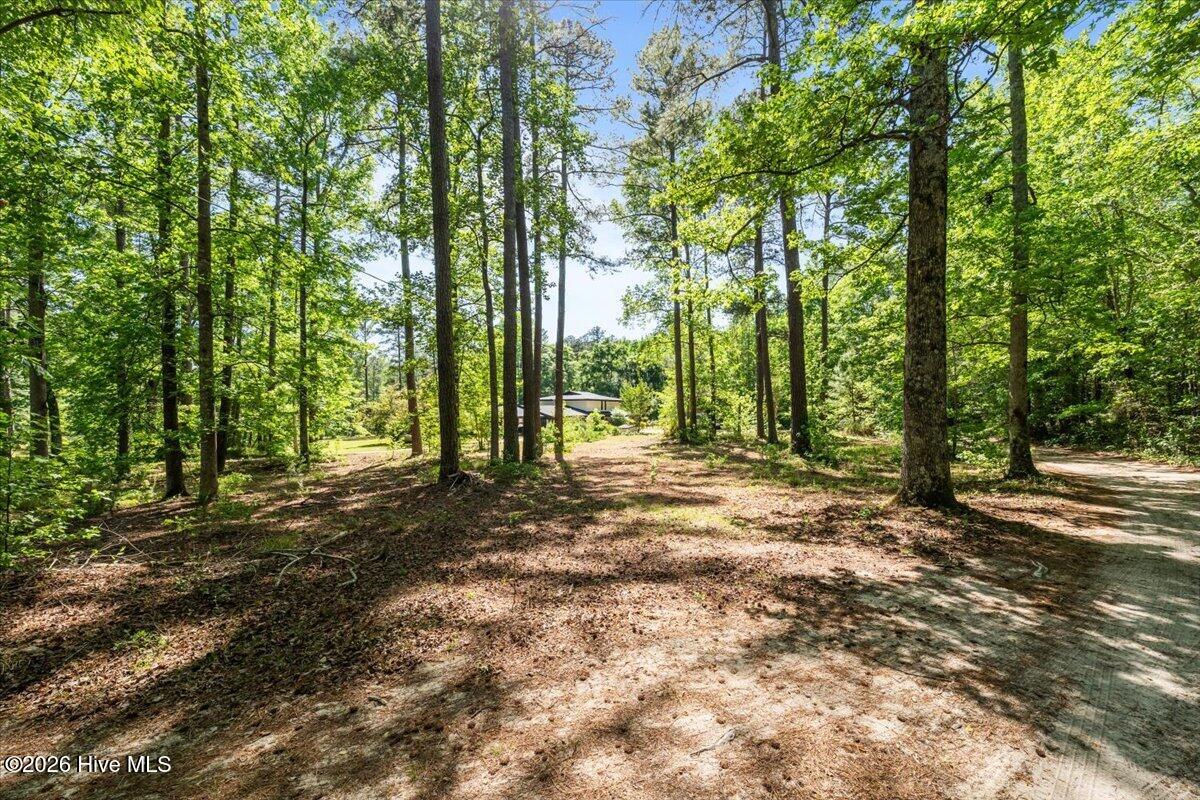 171 Dobbins Lane Rockingham, NC 28379 - Photo 25 of 87 23-DSC07274